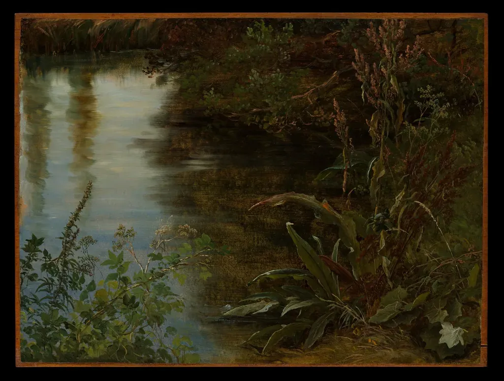 Paysage de rivière bordée de végétation