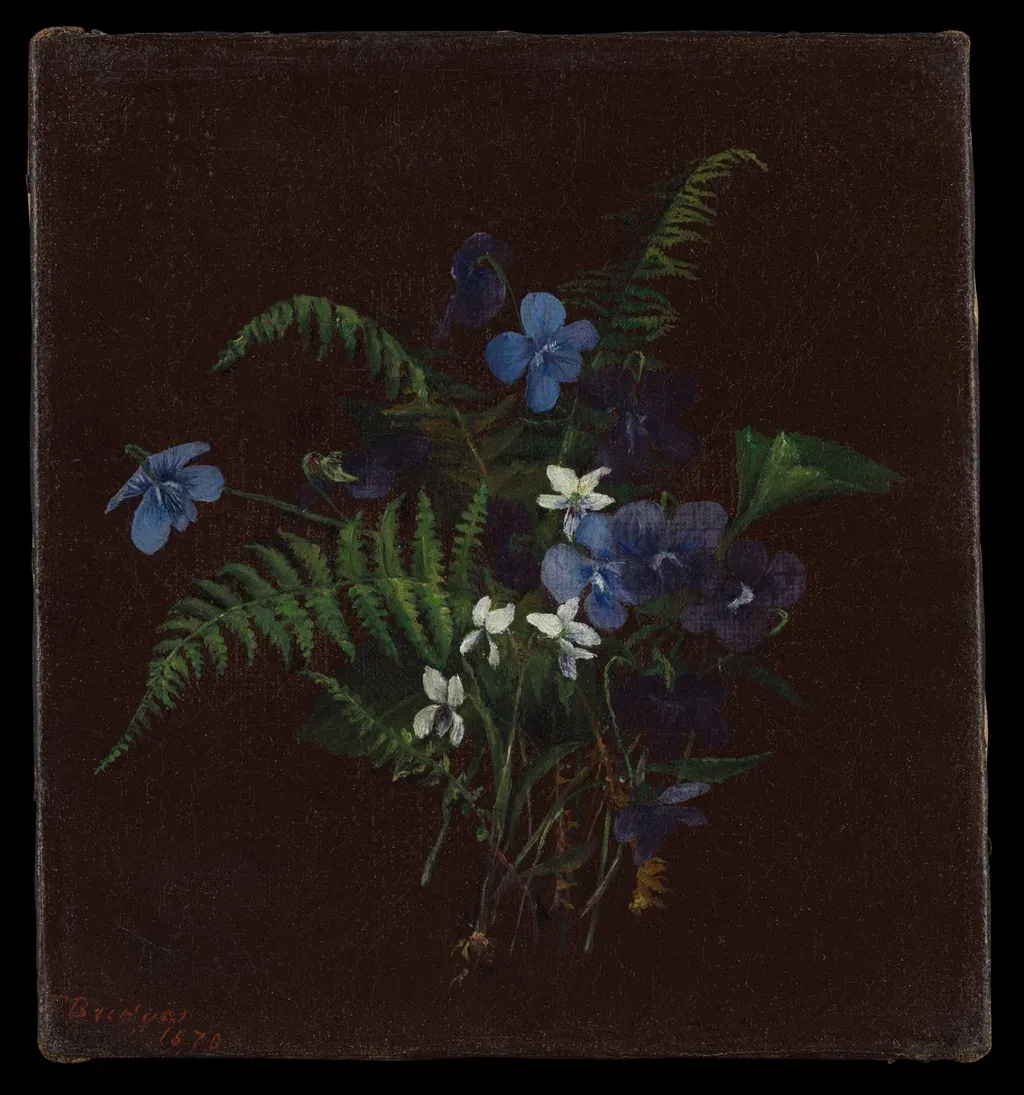 Nature morte de fleurs sauvages sur fond sombre, pour une ambiance apaisante