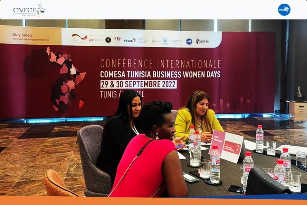 Séance de networking B2B réunissant des femmes entrepreneures lors des COMESA Tunisia Business Women Days