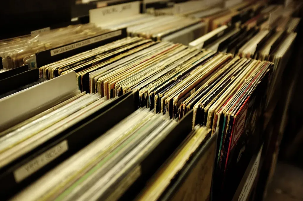 Bacs de disques vinyles dans une boutique de disques