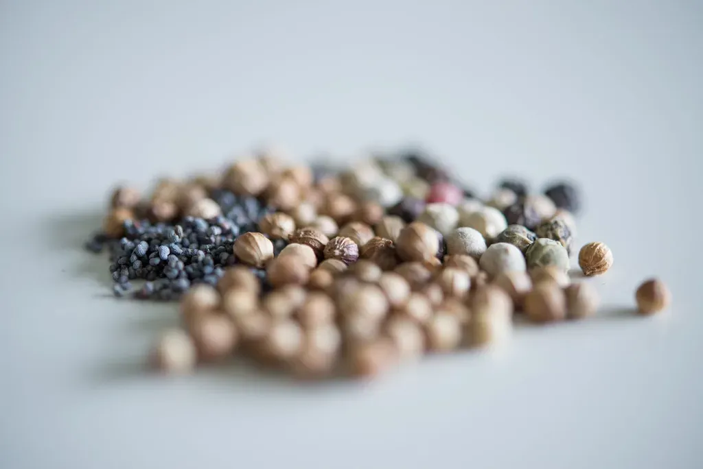 Poivre grains epices — illustration de l'article « Épices à adopter: le poivre libanais et mélange pour poulet »