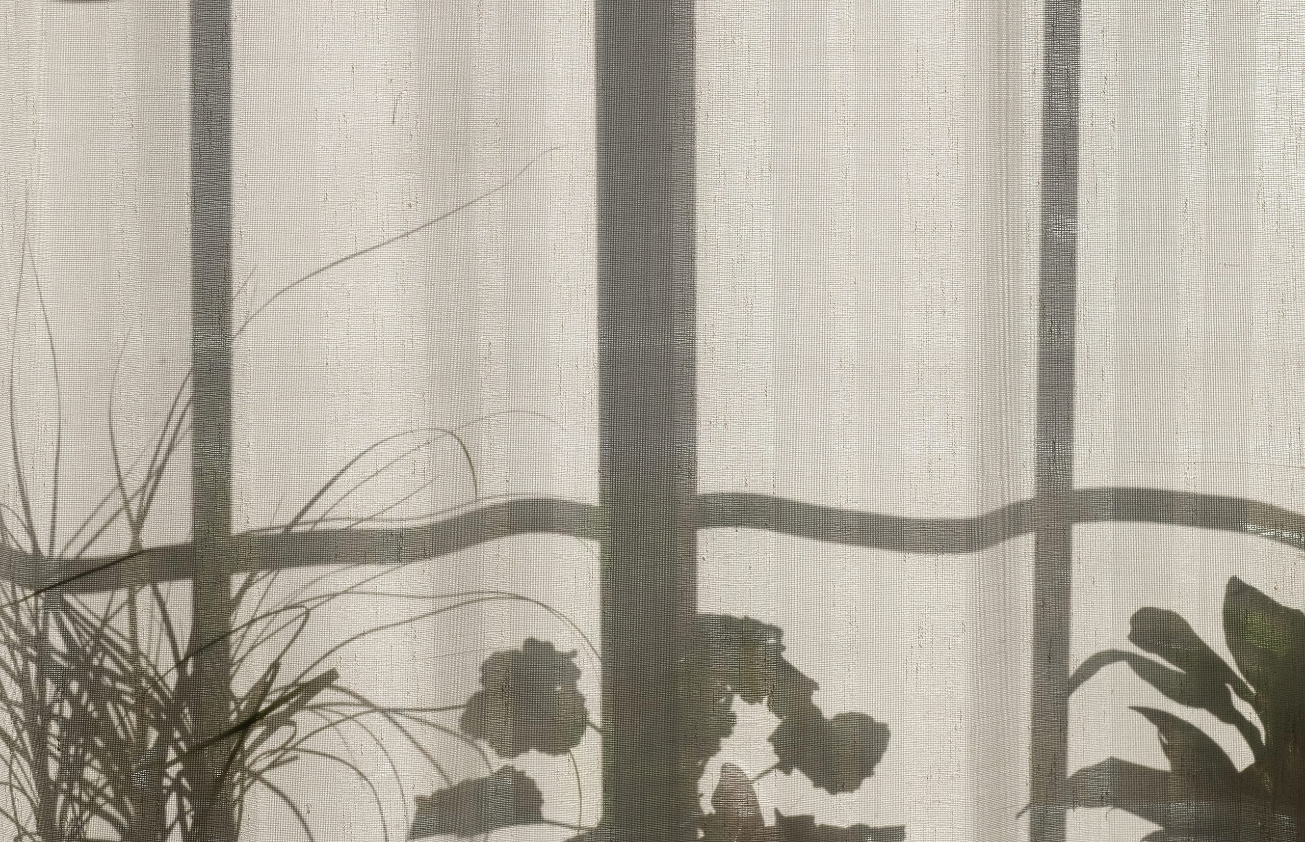 Ombres de plantes sur le rideau de lin