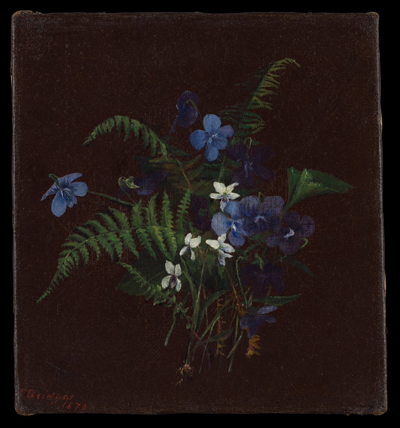 Nature morte de fleurs sauvages sur fond sombre, pour une ambiance apaisante