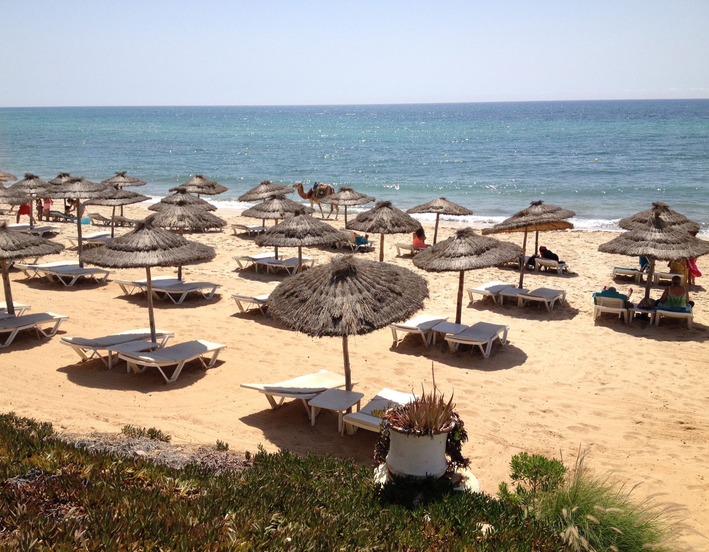 Rangées de parasols de paille et de transats sur la plage de Hammamet, baigneurs au bord d'une mer turquoise