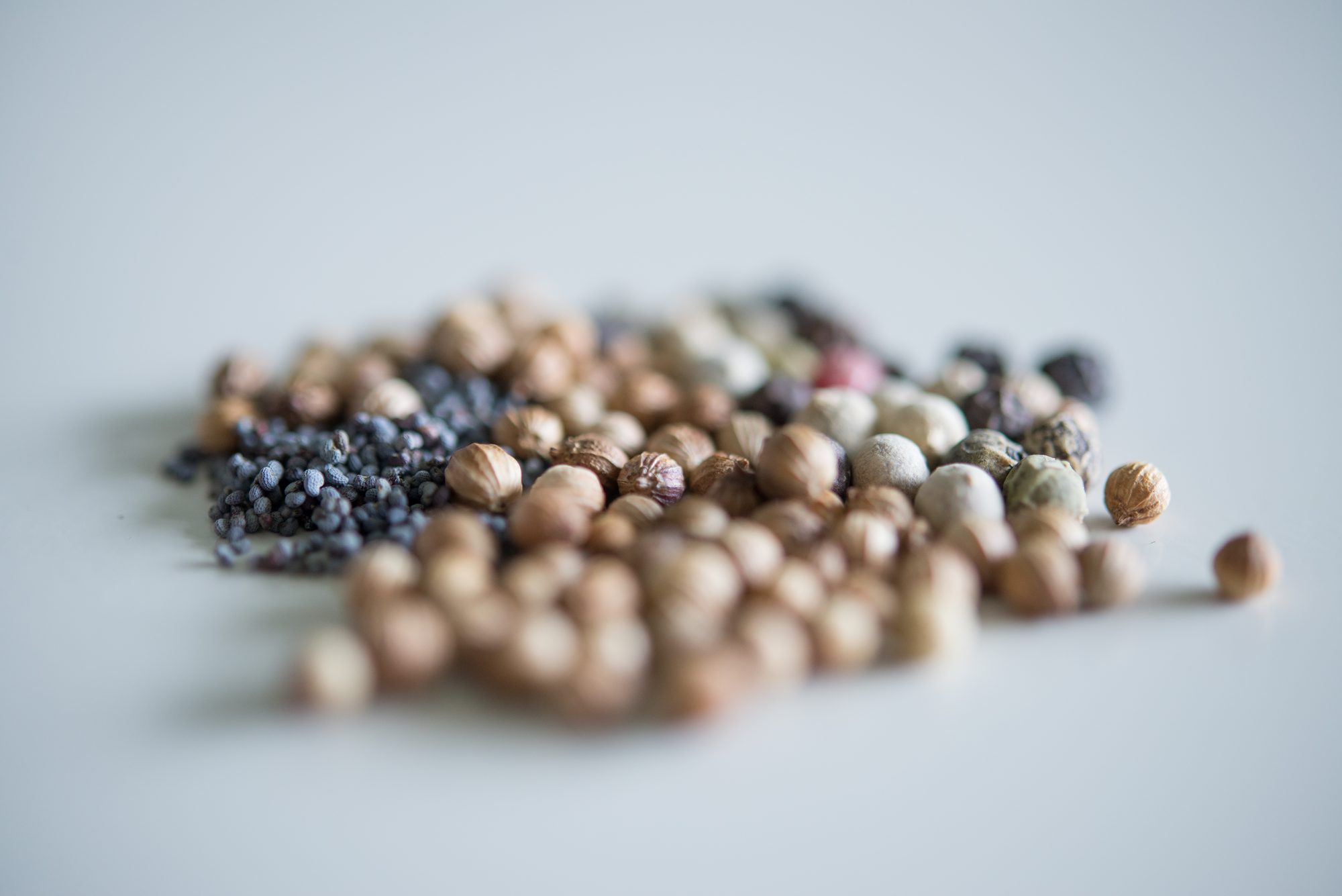 Poivre grains epices — illustration de l'article « Épices à adopter: le poivre libanais et mélange pour poulet »